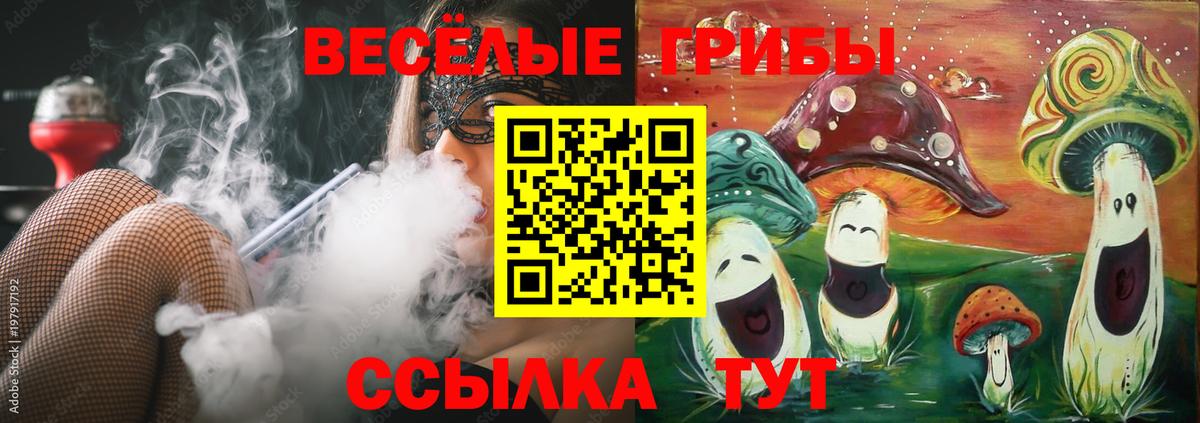 Галлюциногенные грибы Psilocybe Миллерово