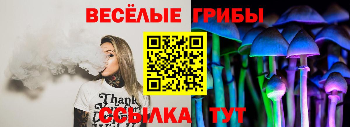 Миллерово  Псилоцибиновые грибы Psilocybine cubensis  Вход с VPN  Псилоцибиновые грибы мухоморы 